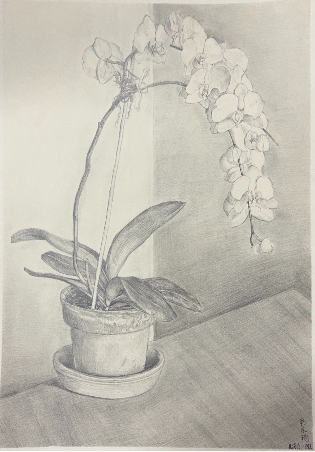 微信图片_20260119085709 - 副本.png