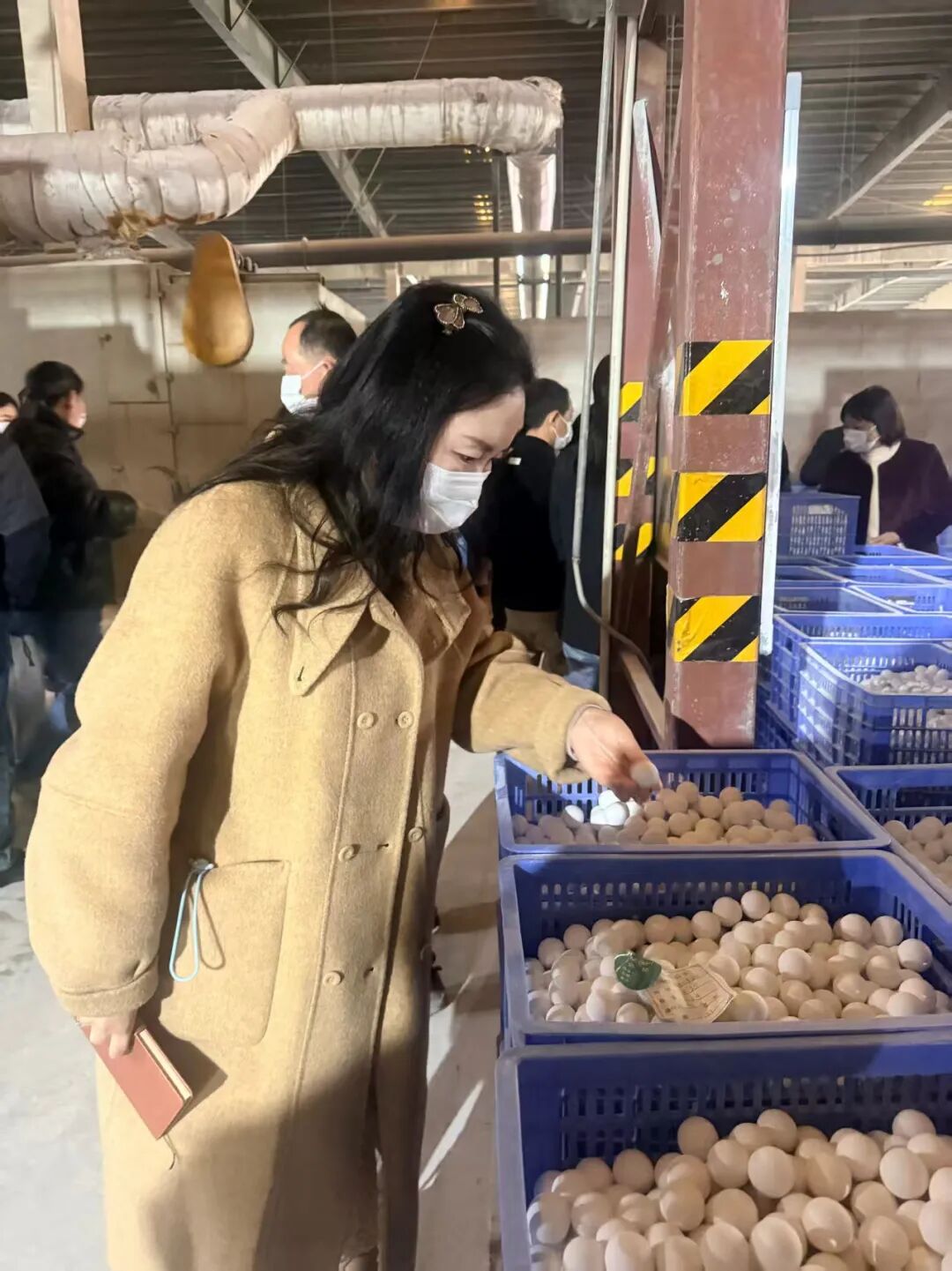 微信图片_2026-02-28_082122_289