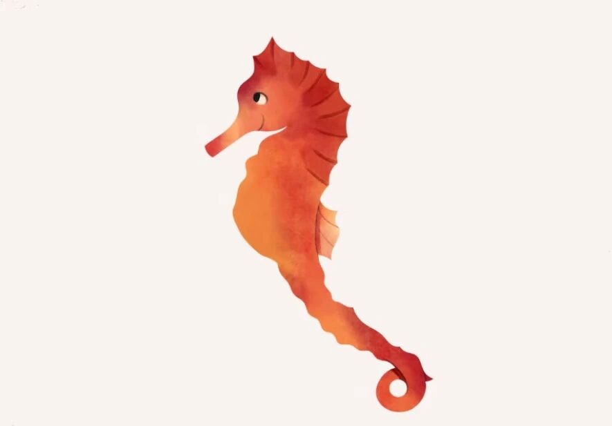 e44368b6a34bed34d119af9f1835d1c8