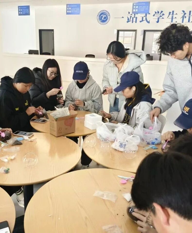 b61f9efc42ad86a60c74f35aaf3625f0 b61f9efc42ad86a60c74f35aaf3625f0